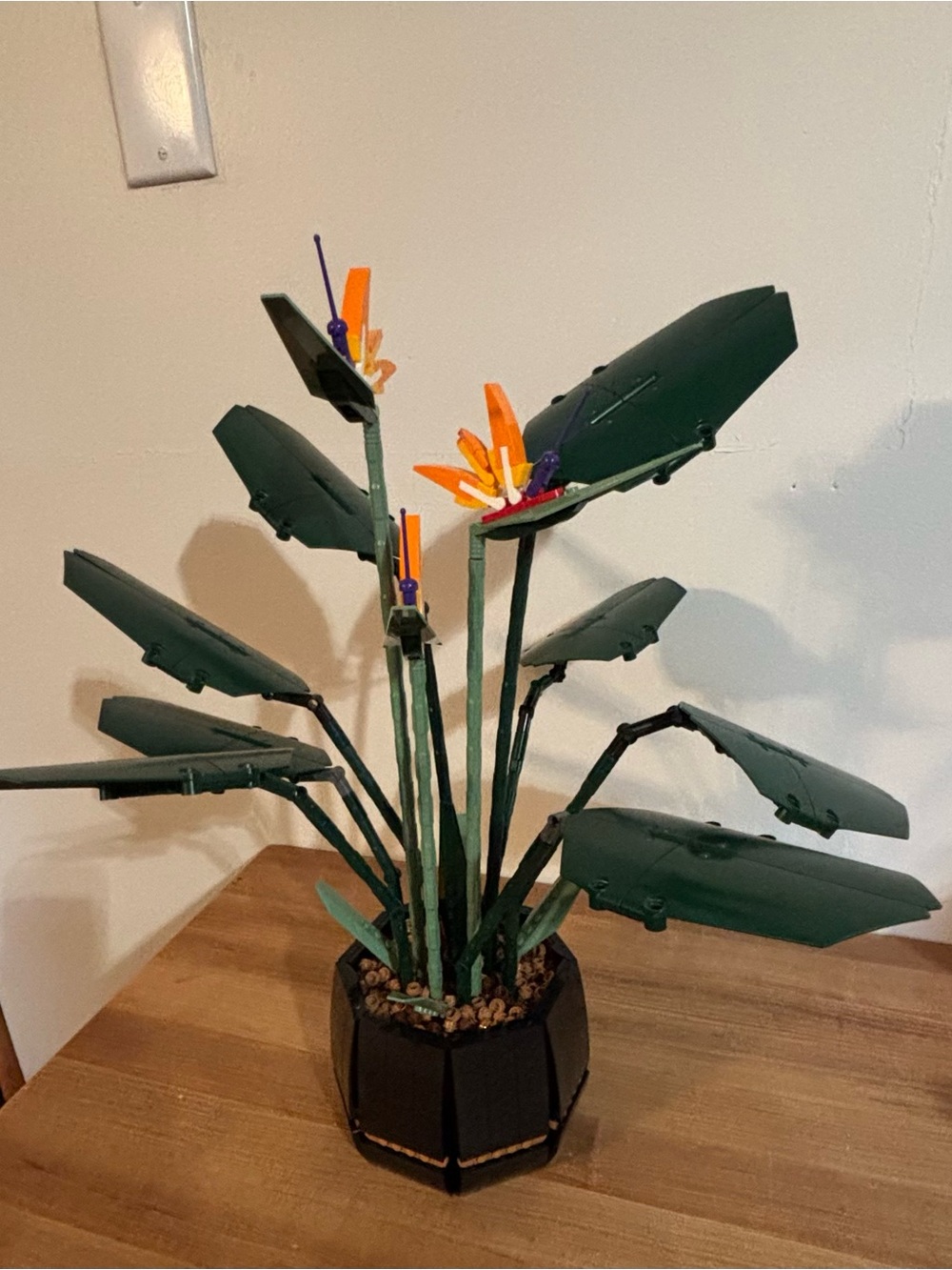 LEGO Botanicals Bird of Paradise 10289 Retired Set